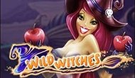 Игровой автомат Wild Witches